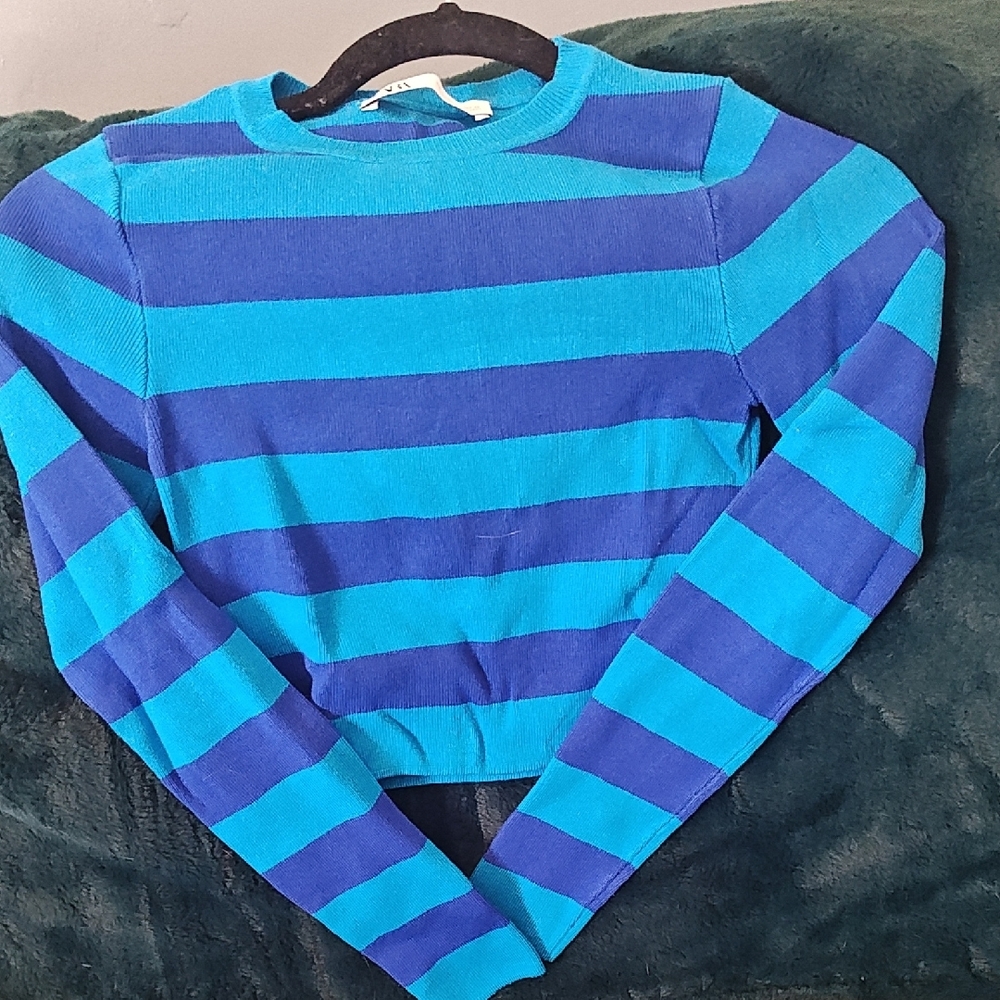 Zara Striped Blue and Black Sweater